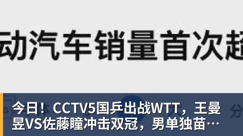 今日！CCTV5国乒出战WTT，王曼昱VS佐藤瞳冲击双冠，男单独苗周启豪PK松岛辉空