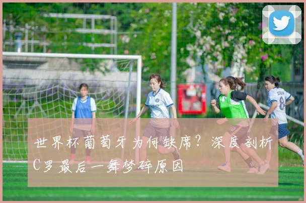 彩神v